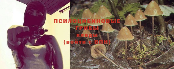 мяу мяу мука Краснослободск